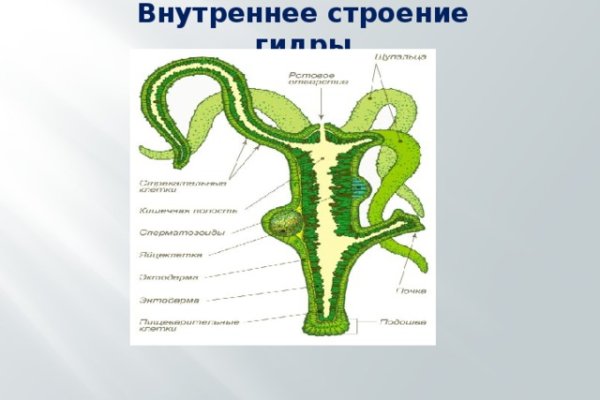 Kraken darknet market сайт