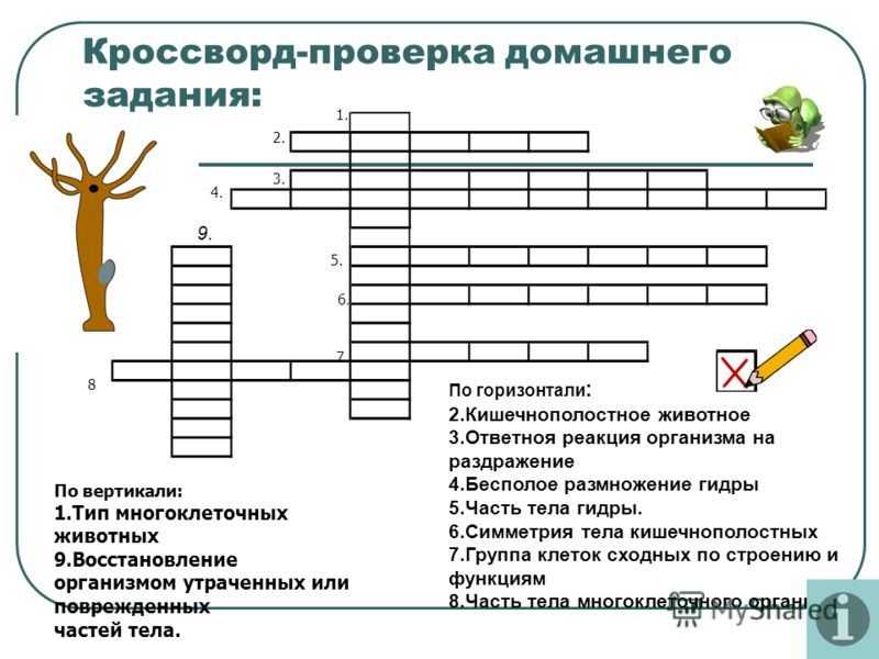 Как зайти в кракен